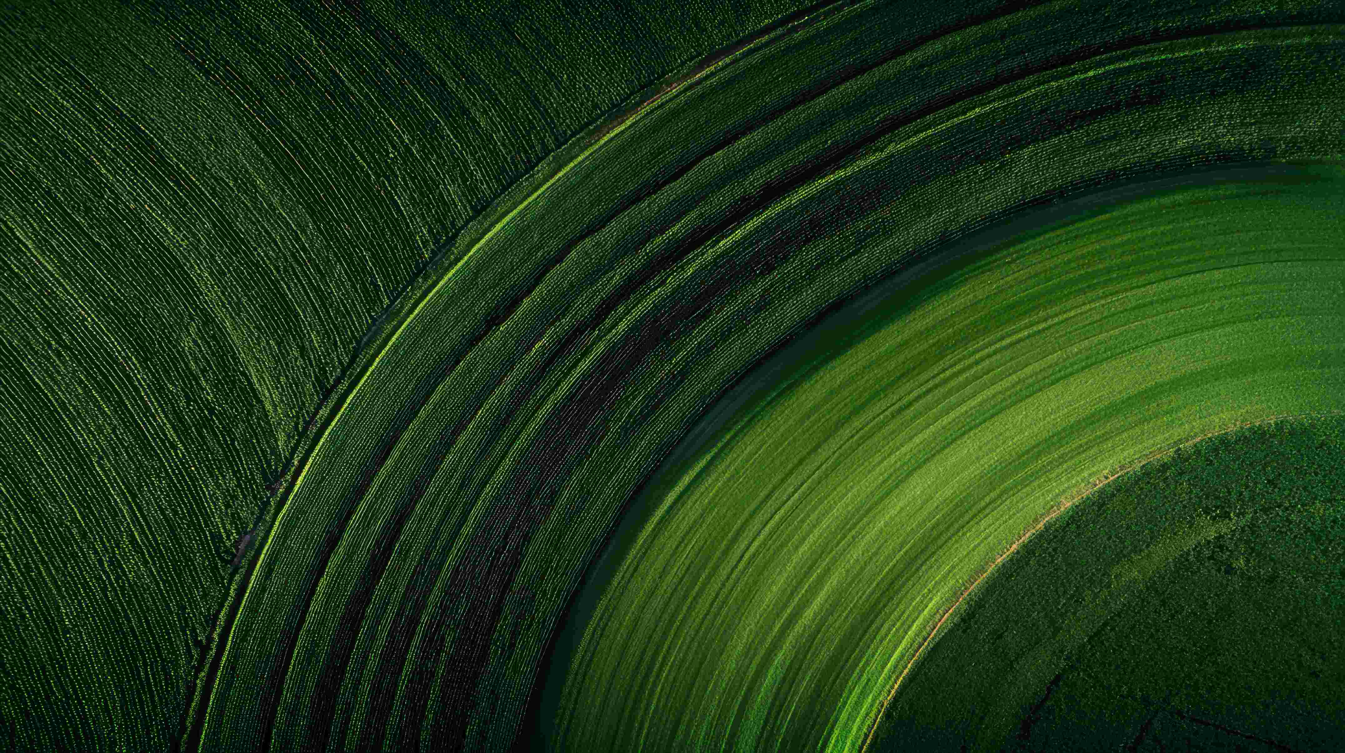 Agricultura de precisão